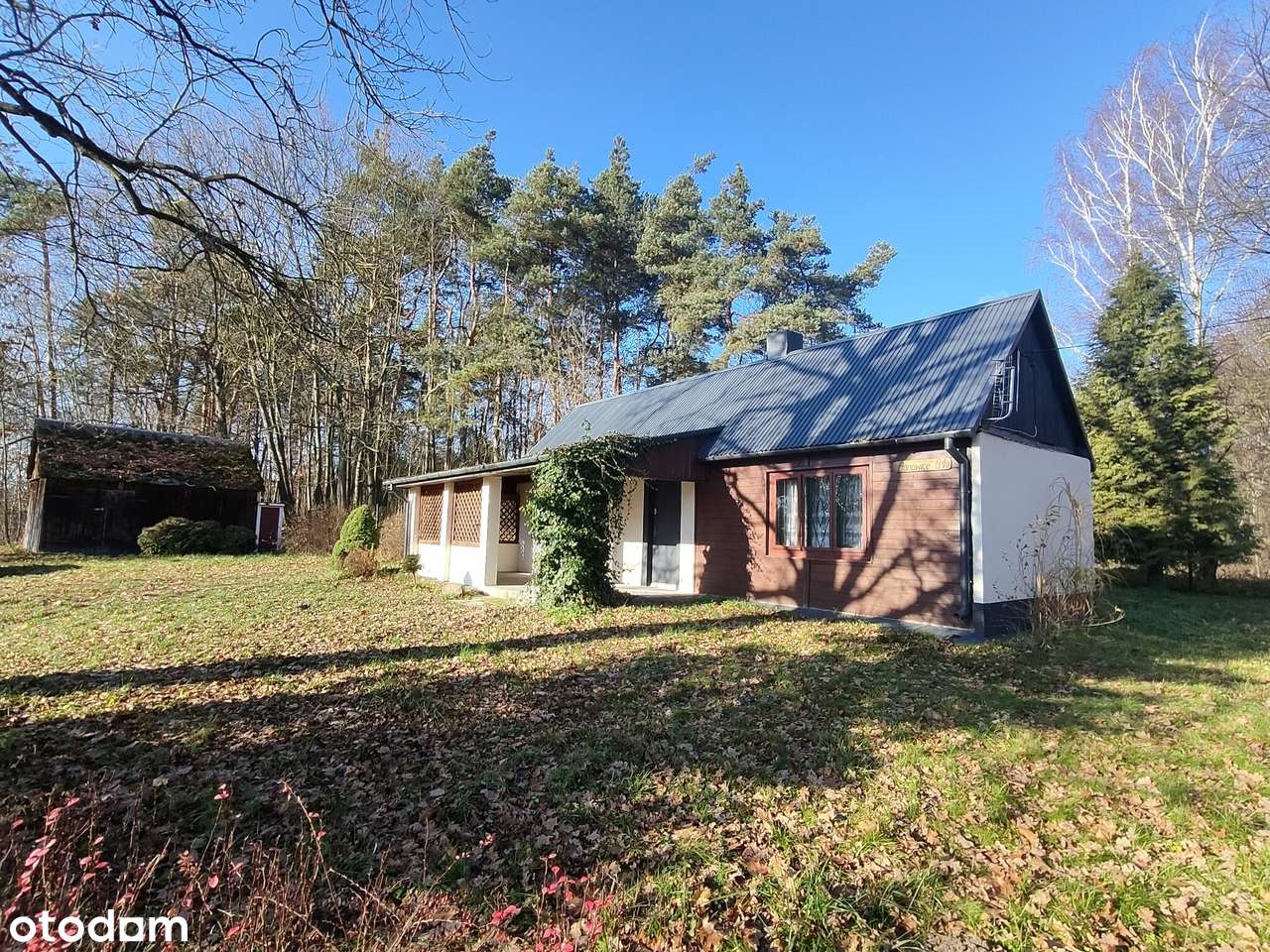 Dom w środku lasu - Pełny obrazek: 4/11