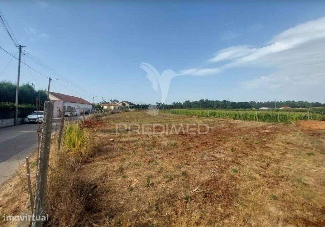 Terreno Rústico em Oiã com 4.190m2 - Grande imagem: 4/5