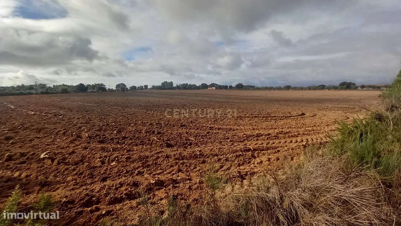 Terreno Rustico com 13500 M2 Lardosa - Grande imagem: 5/13