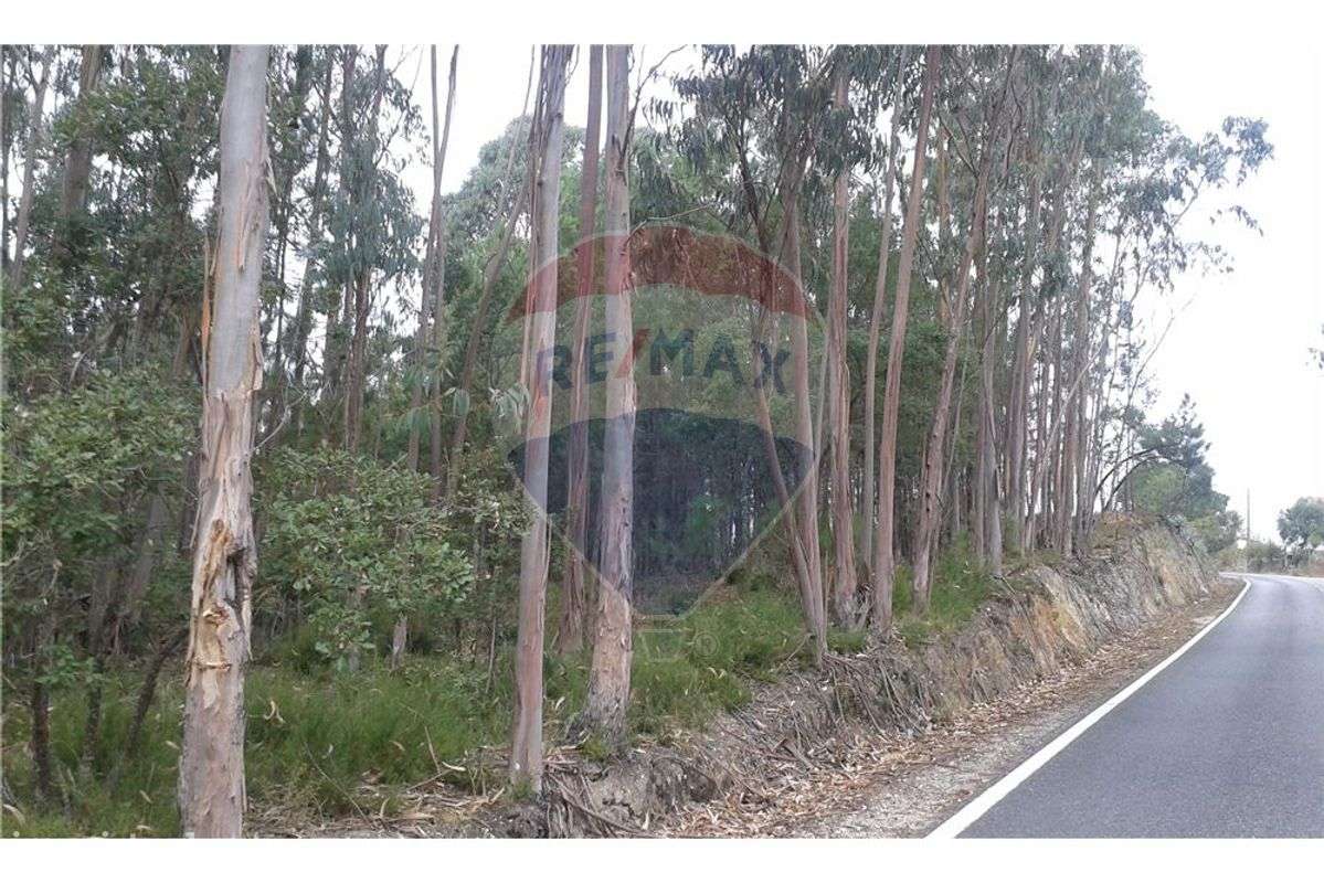 Terreno  para venda - Grande imagem: 4/4