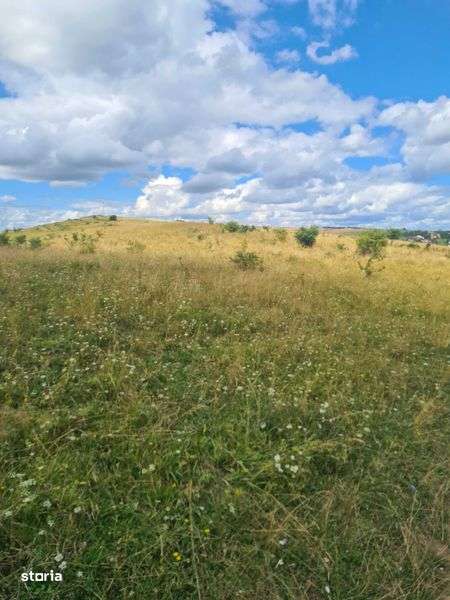 Vand teren extravilan 2500m2 in Salicea. - Imagine principală: 5/5