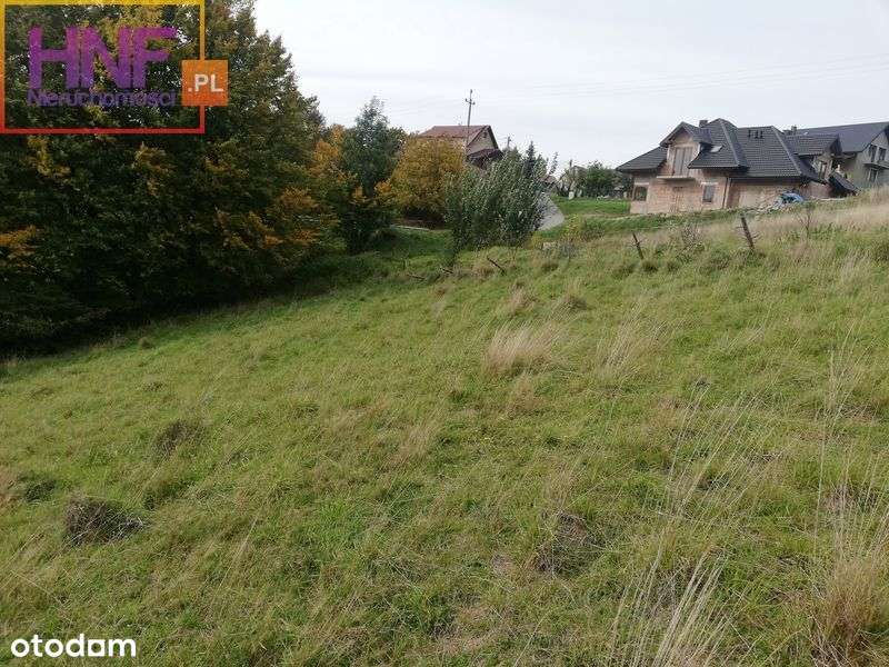 działka o powierzchni 25ar w Rytrze - Pełny obrazek: 4/9