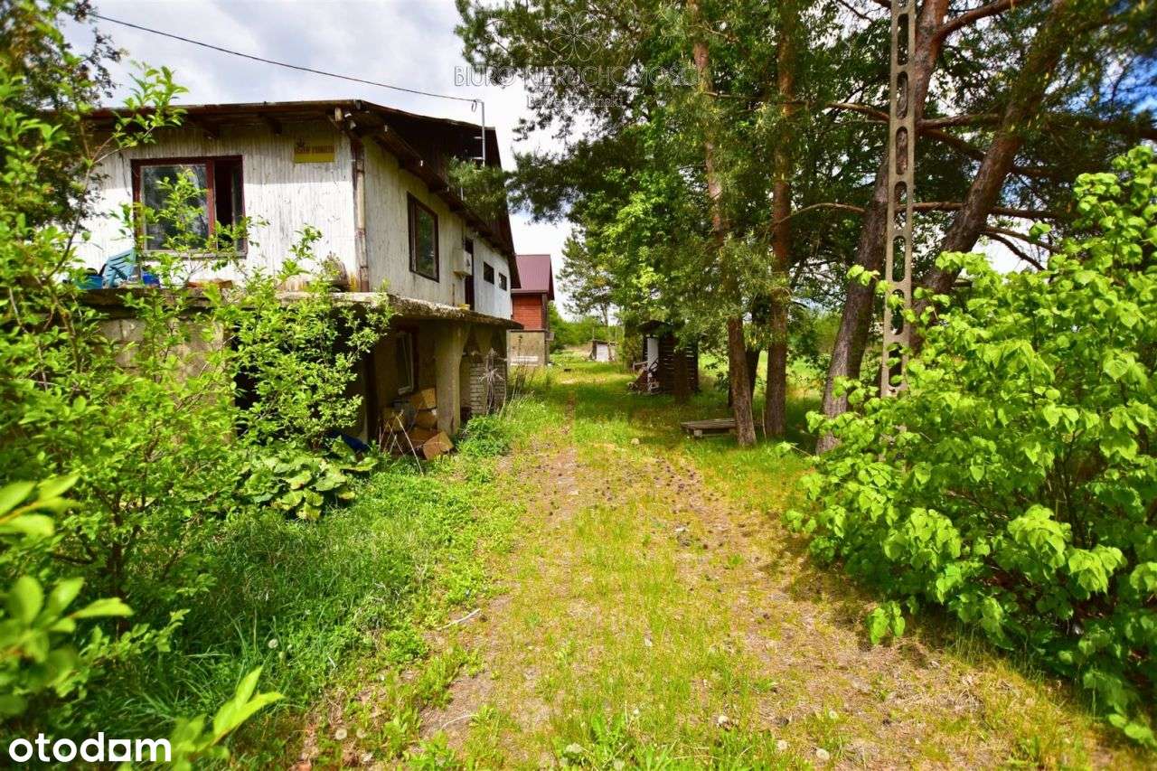 Dom przy Puszczy Białowieskiej ul Lipowa - Pełny obrazek: 4/18