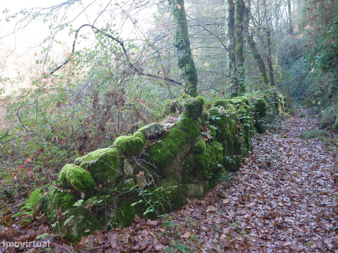 Terreno Junto a Nascente do Rio Ave!!!-10