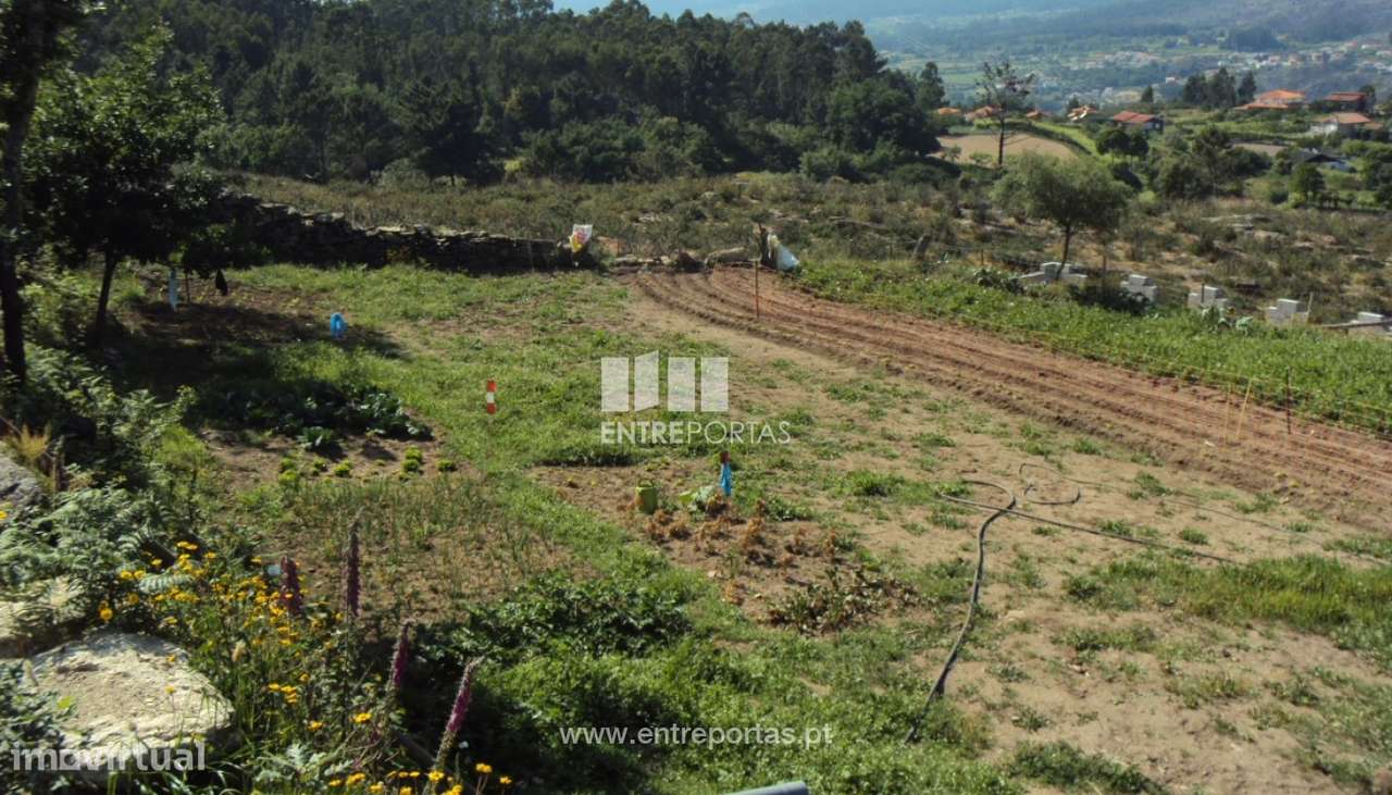 Venda Terreno, Rosém, Marco de Canaveses - Grande imagem: 4/5