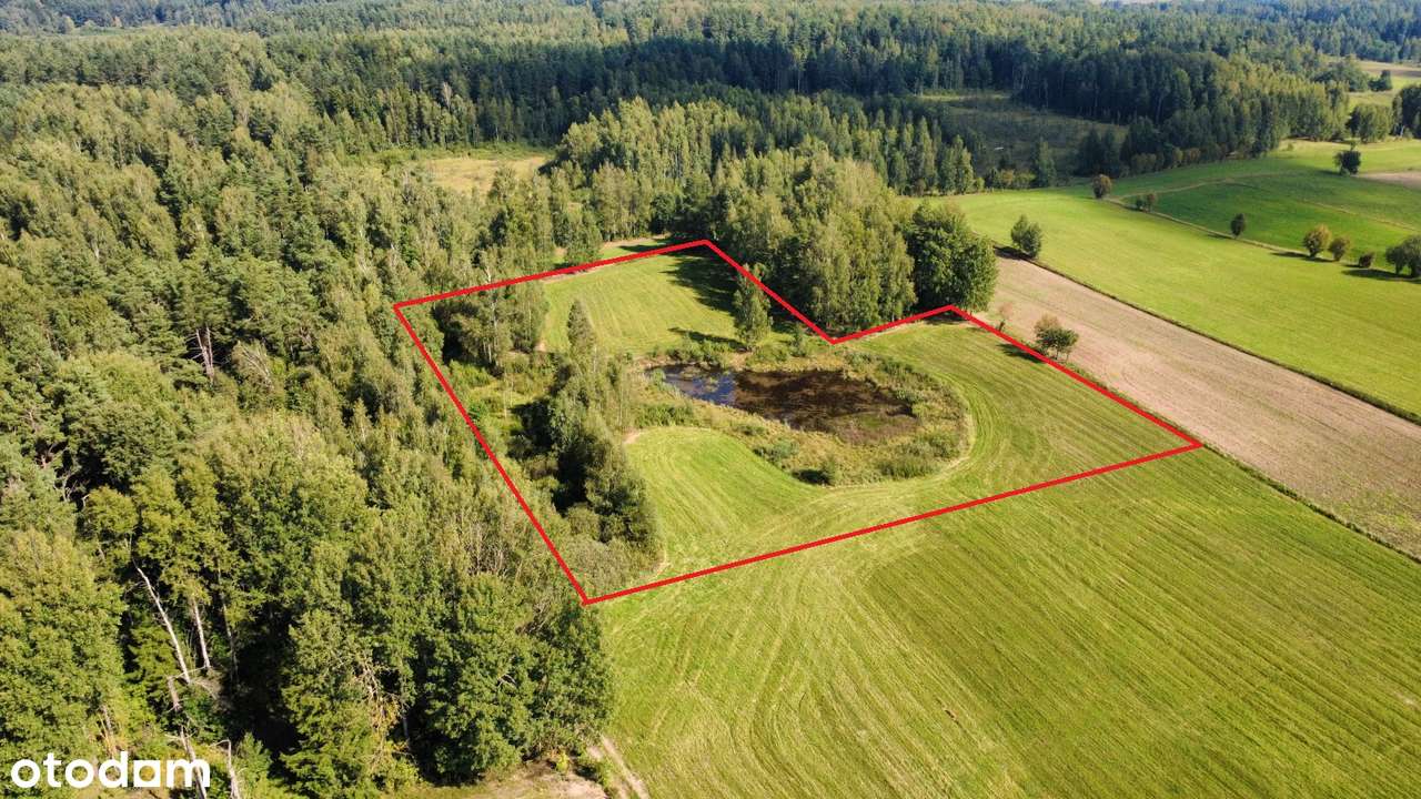 Iwaniszki - działka 1,2 ha na sprzedaż
