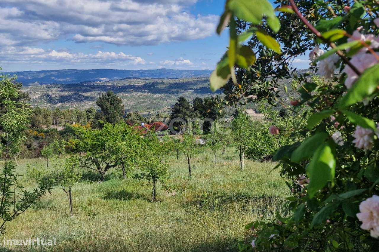 VENDA DE DOIS PRÉDIOS RÚSTICOS – Pegarinhos , Alijo - Grande imagem: 2/30