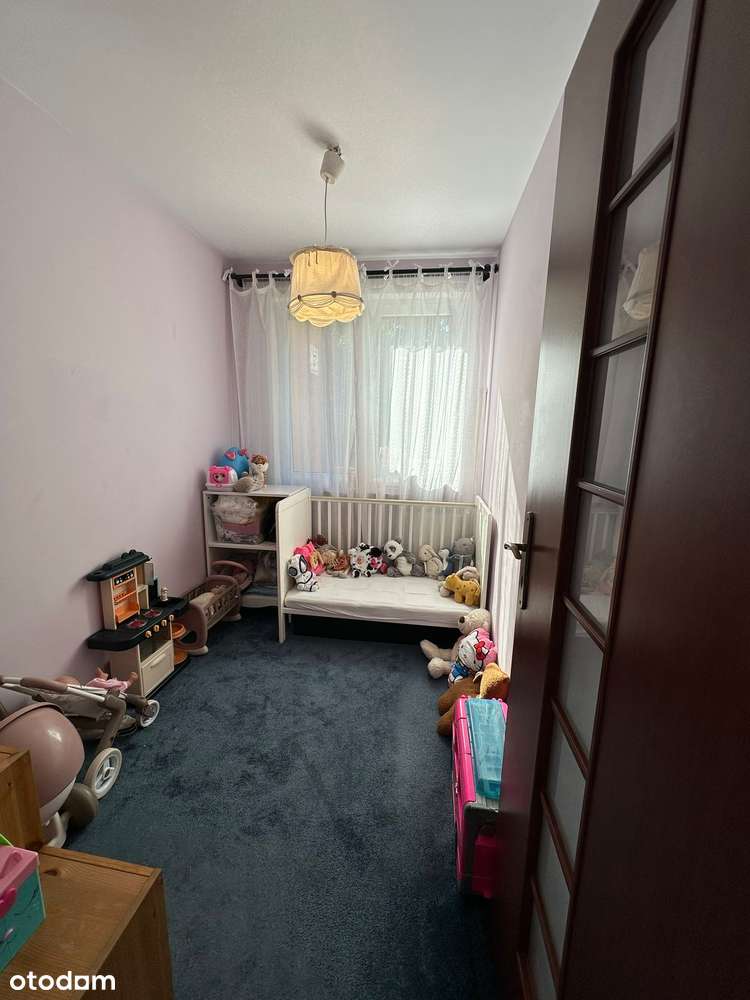 Bezczynszowe 3-pokojowe mieszkanie z balkonem – ul. Cedrowa-7