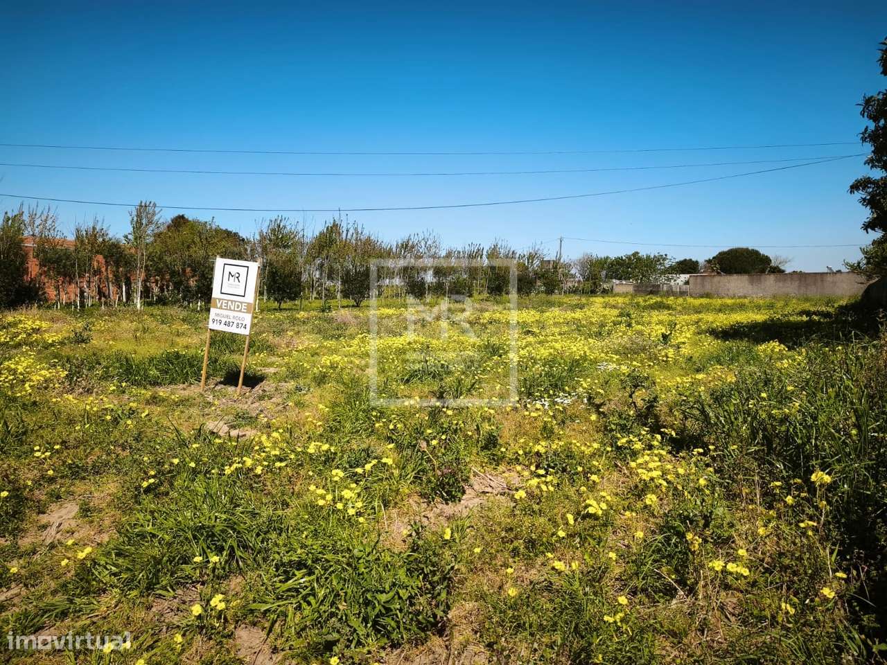 Terreno  Venda em Ouca,Vagos - Grande imagem: 2/4