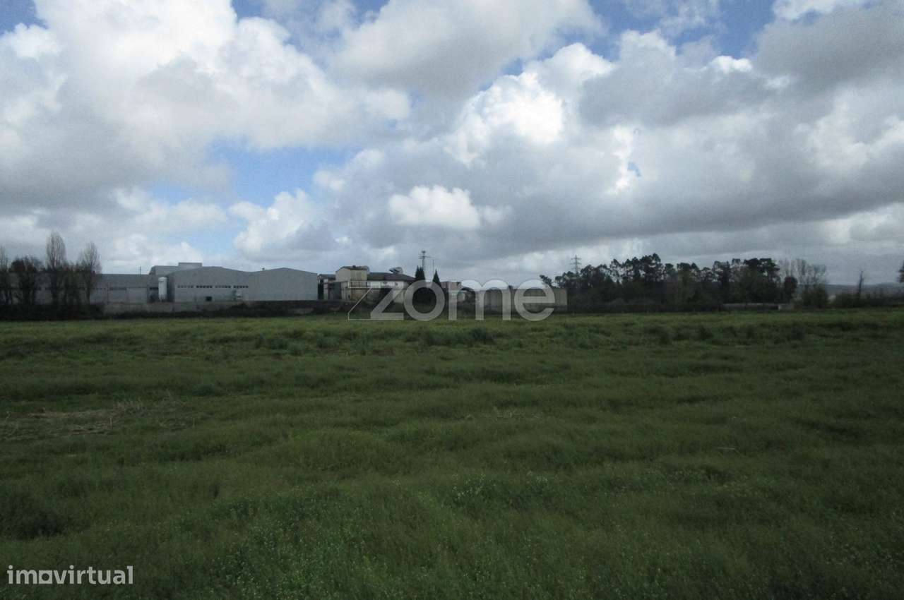 Terreno rústico com 2.700 M2 a 100m do rio ave, em Fradelos - Grande imagem: 3/15