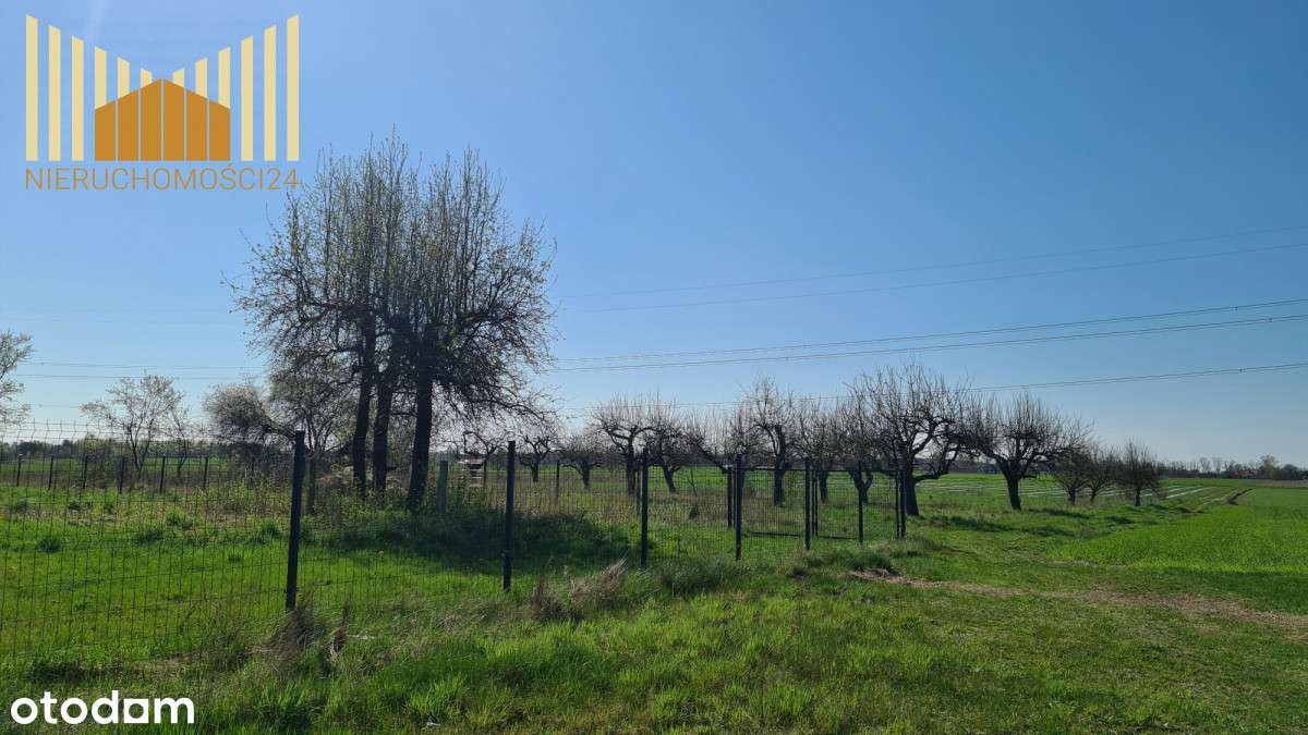 990958 - Pełny obrazek: 4/14