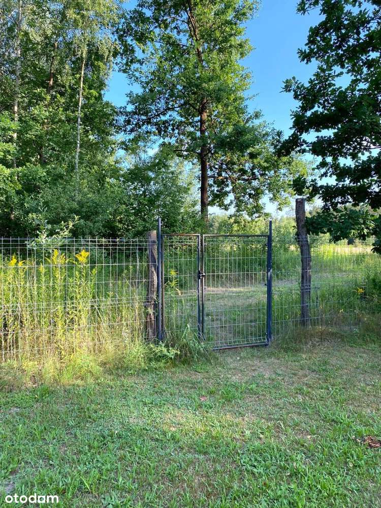 Urokliwa działka ze stawem i lasem - Pełny obrazek: 5/8