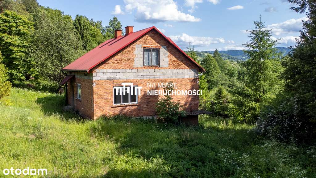 10 ha w Bieszczadach | Piękna okolica | Nad rzeką - Pełny obrazek: 5/16