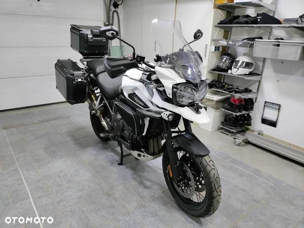 Triumph Tiger - 1