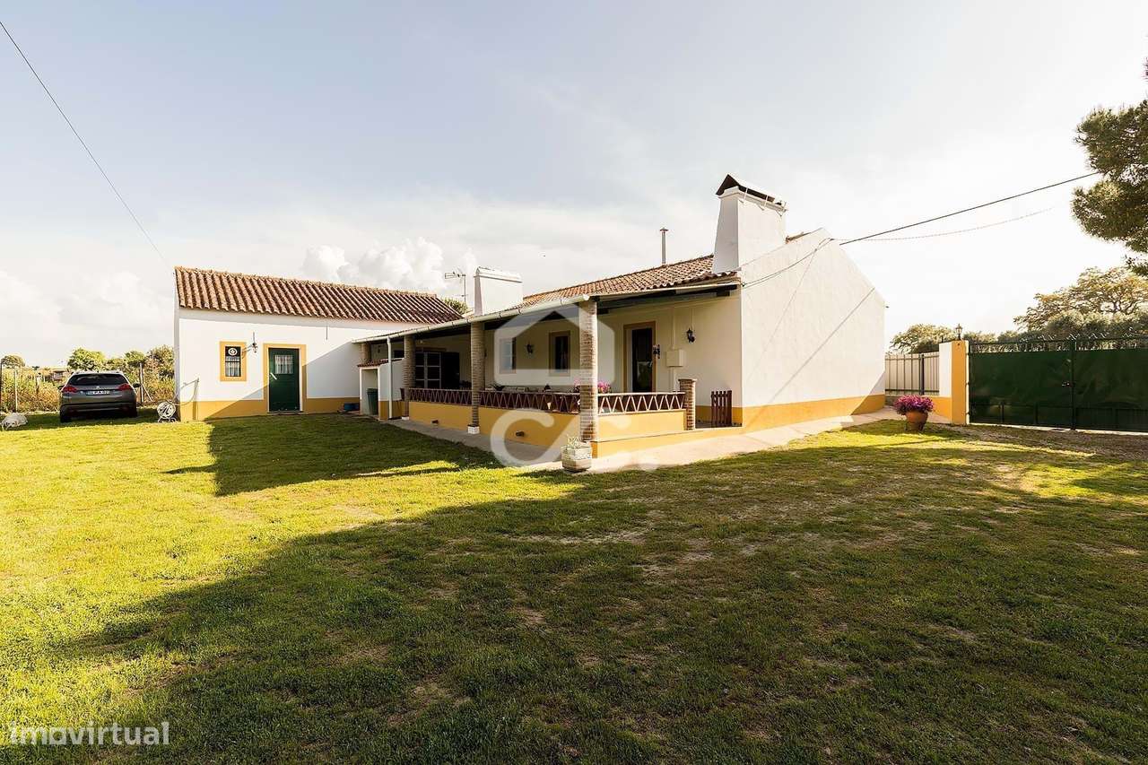 Quinta de 9250m2 c/ Moradia T4 térrea, anexo e armazém | Azaruja-23