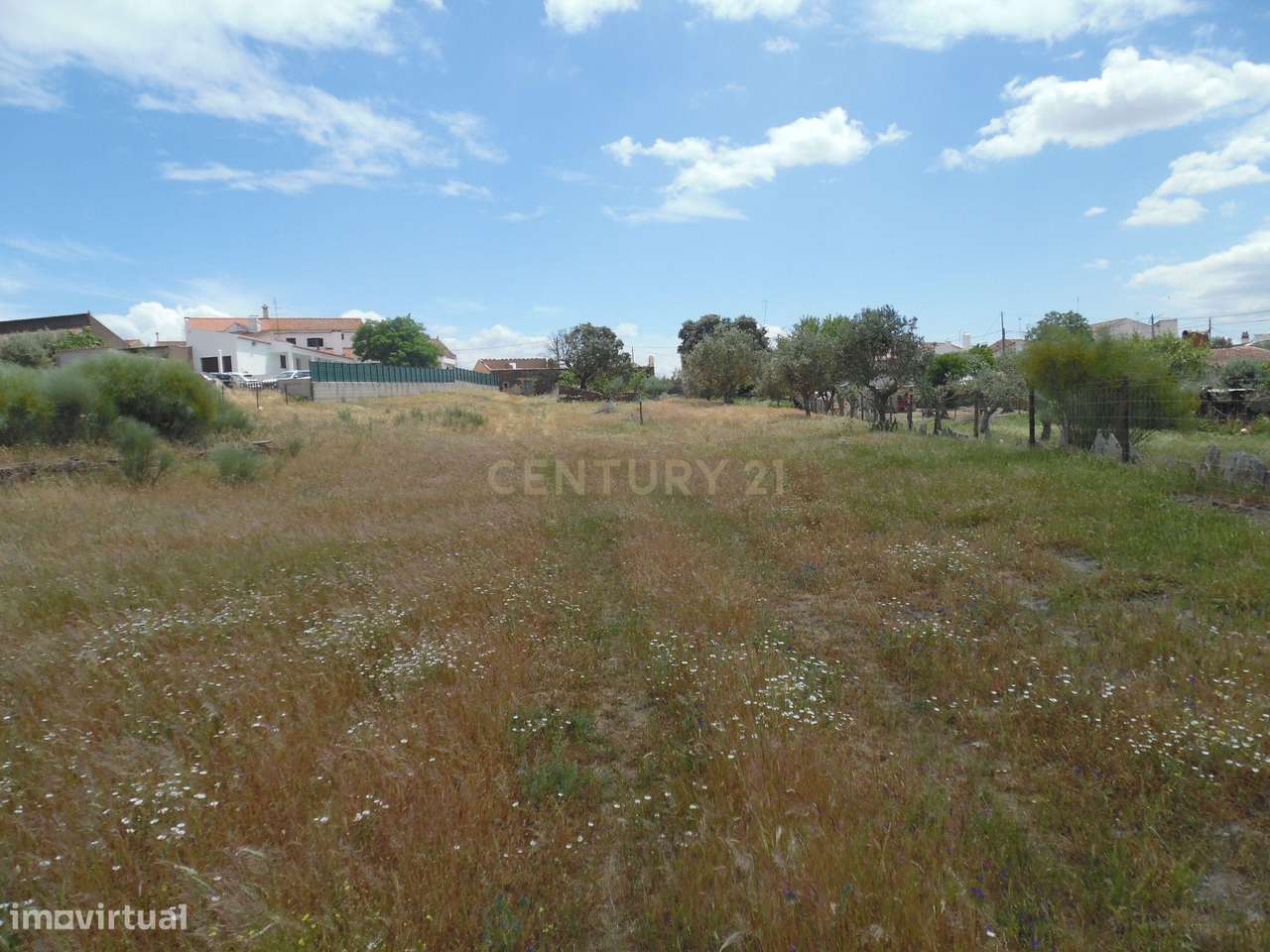 Quinta em Capelins,  Alandroal - Évora,  Oportunidade Única-37