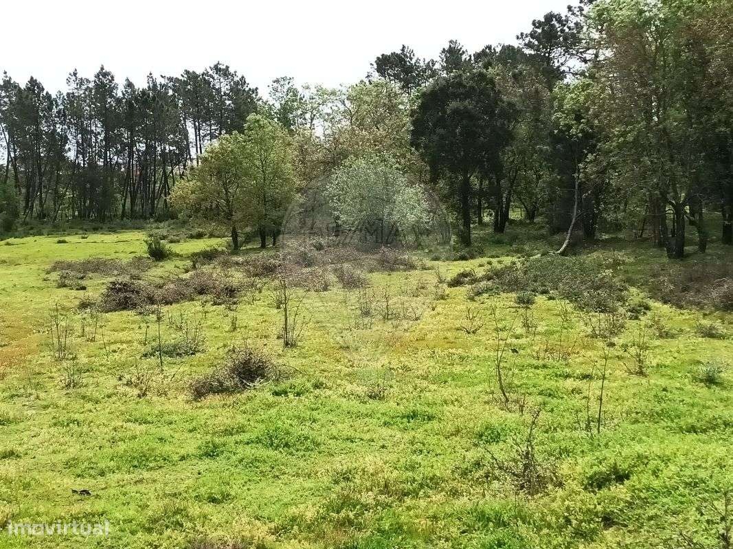 Terreno  para venda - Grande imagem: 5/9