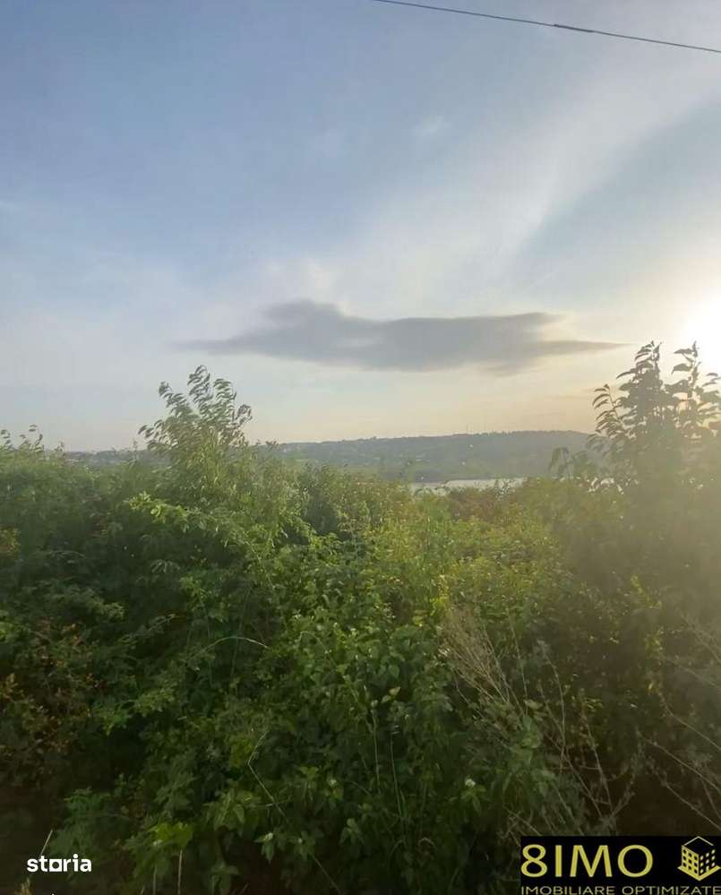 Teren 5000mp extravilan Tarna Mare - Imagine principală: 3/3