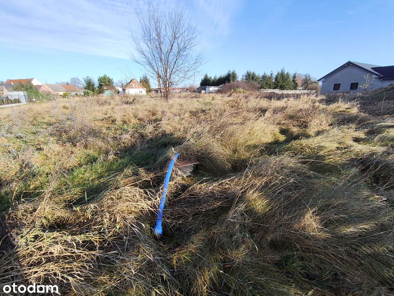 Wyjątkowa działka budowlana 1133 m2 - Świdnica pod Zieloną Górą!-3