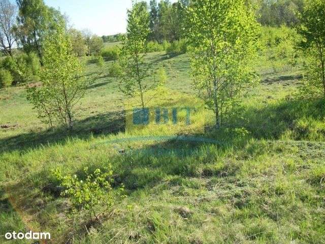 Działka 2,19 ha, przy jeziorze Drawsko-6