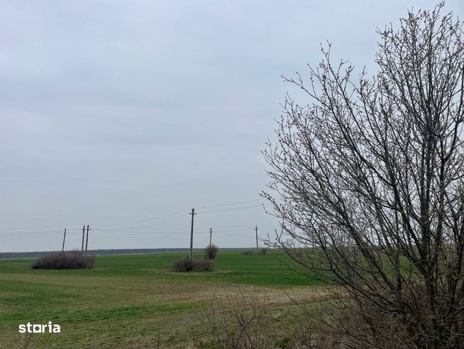 Giurgiu -Marsa Teren Agricol 8.5 Ha Deschidere 80m-3