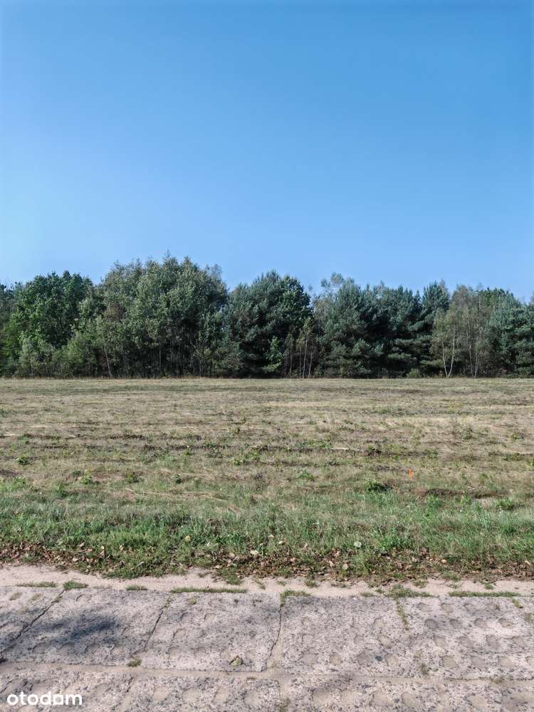 Działka, 1317.0 m², Augustówek-1