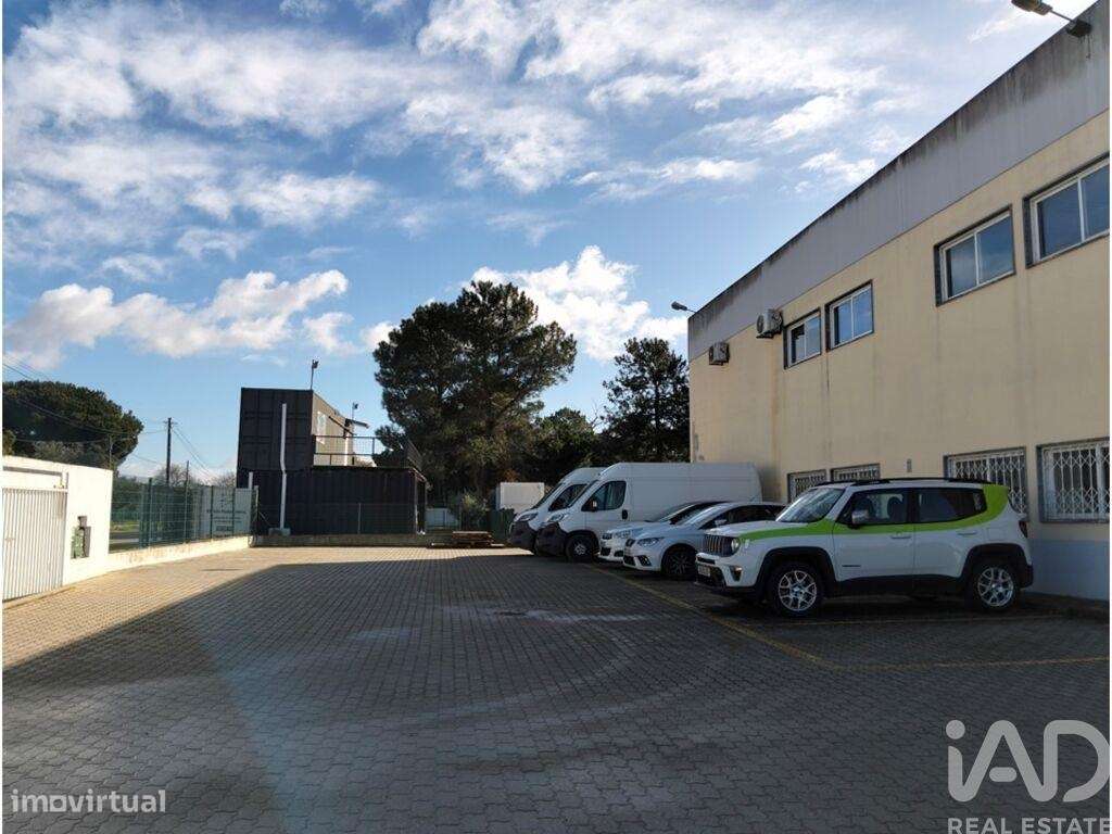 Armazém em Pinhal Novo de 280,00 m2 - Grande imagem: 4/22