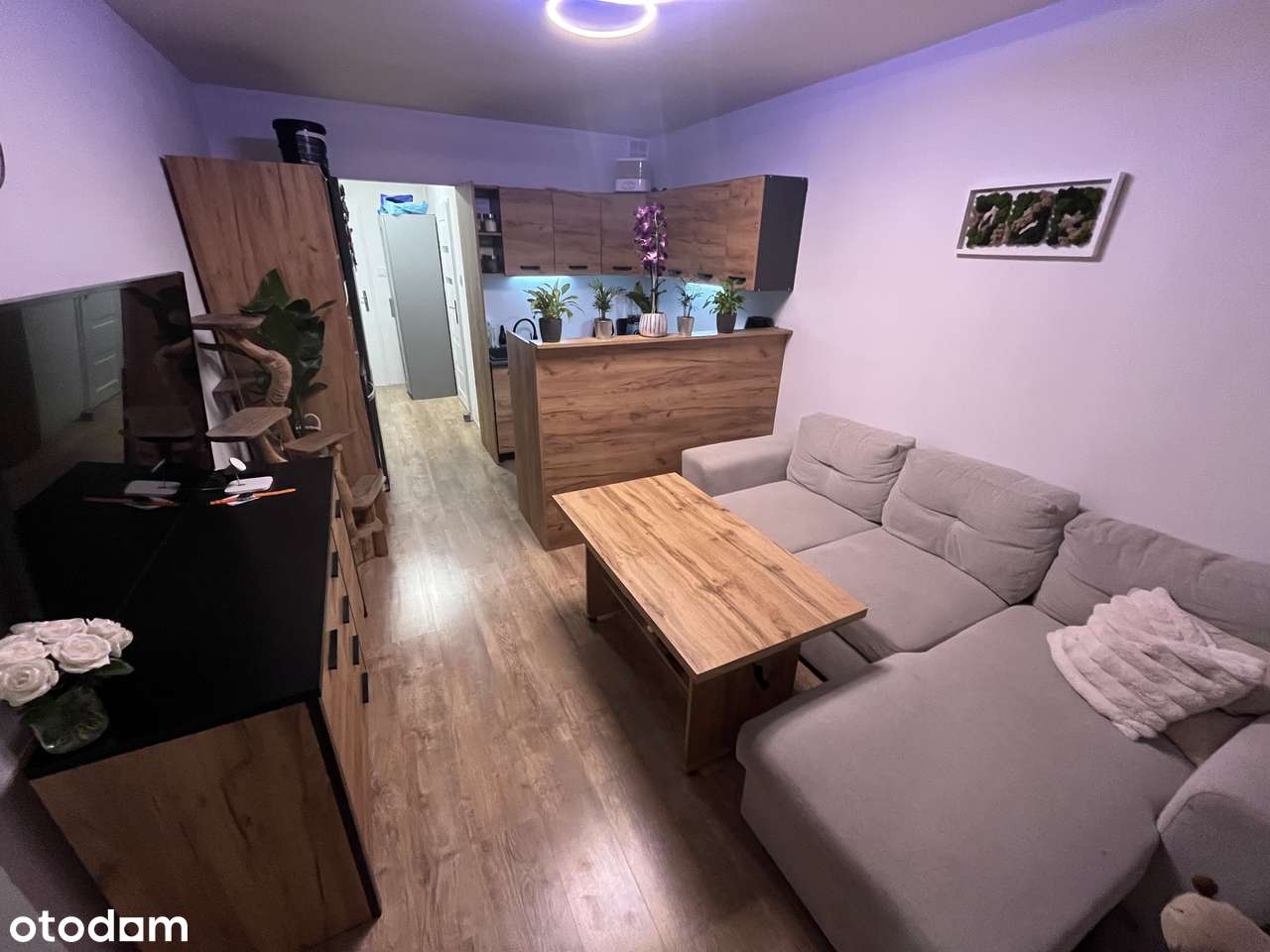 3 pok z balkonem po kapitalnym remoncie na I piętrze z wyposażeniem!-1