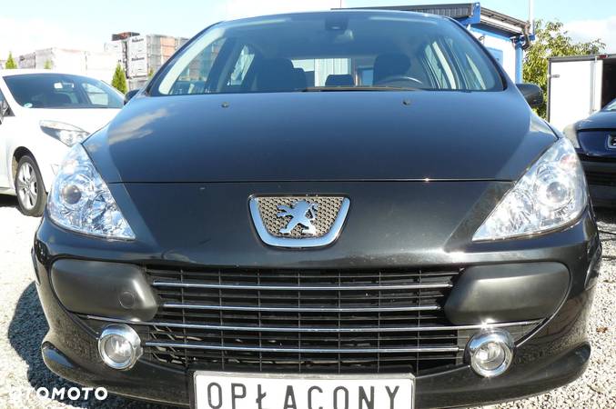 Peugeot 307 1.6 Oxygo - 3