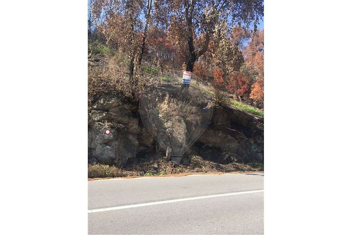 Terrenos - Santa Cruz do Douro e São Tomé - Grande imagem: 5/6