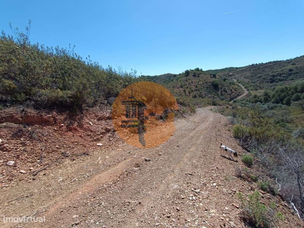 TERRENO RUSTICO COM 22.760 M2 - COM POÇO - EM BRENHOSA - ODELEITE -... - Grande imagem: 5/26