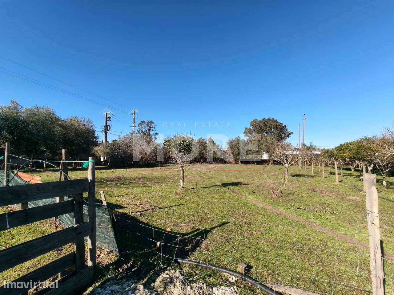 Terreno com 9500 m² – Évora-10