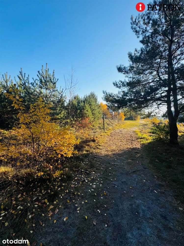 Sprzedam działkę o pow. 2 438 m² w Rurzycy-14