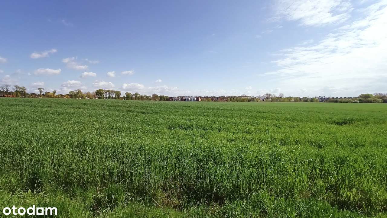 KONINKO | DZIAŁKA BUDOWLANA Z PNB - Pełny obrazek: 5/9