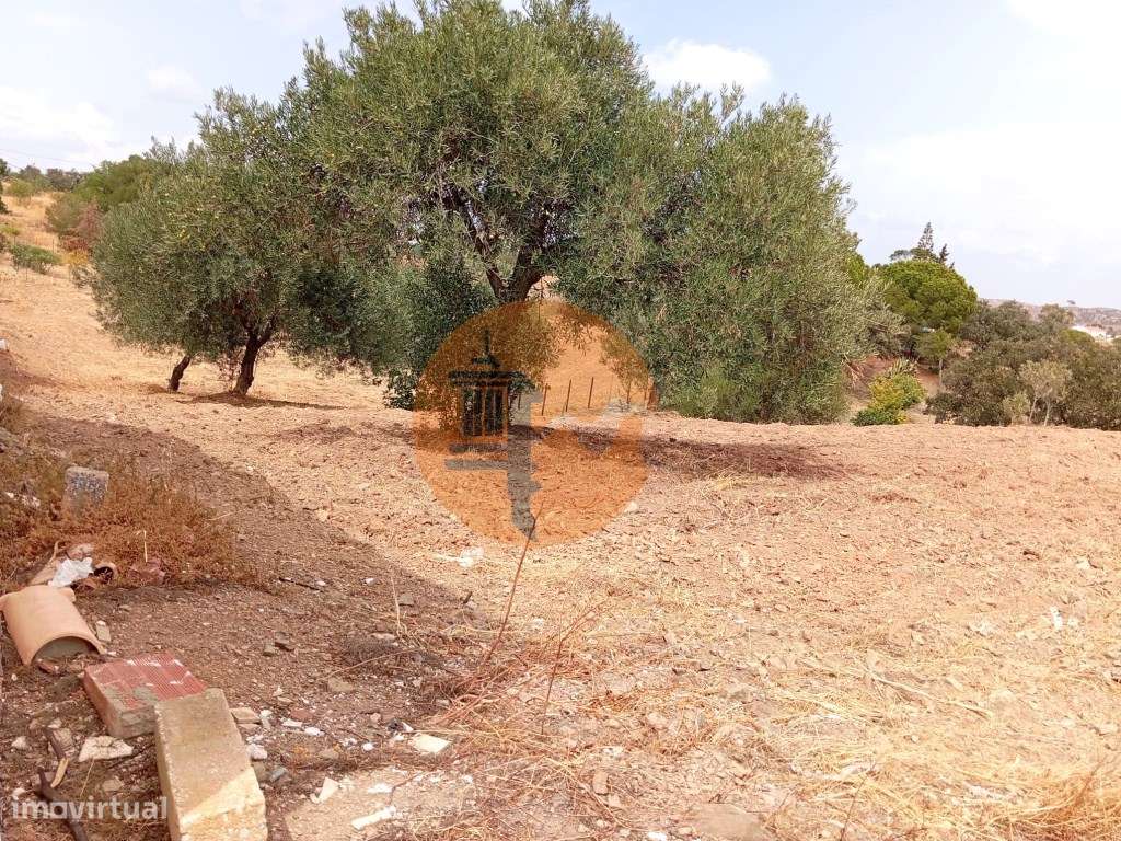 Terreno Rustico com água na zona da Corte António Martins-9