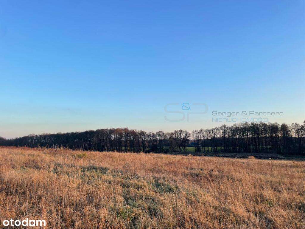 Piękna działka 1226 m2 Morasko-2