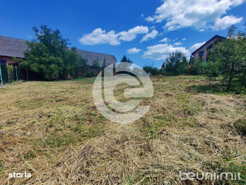 Teren intravilan Sura Mare - 578 Mp - PUZ aprobat si toate utilitatile-4