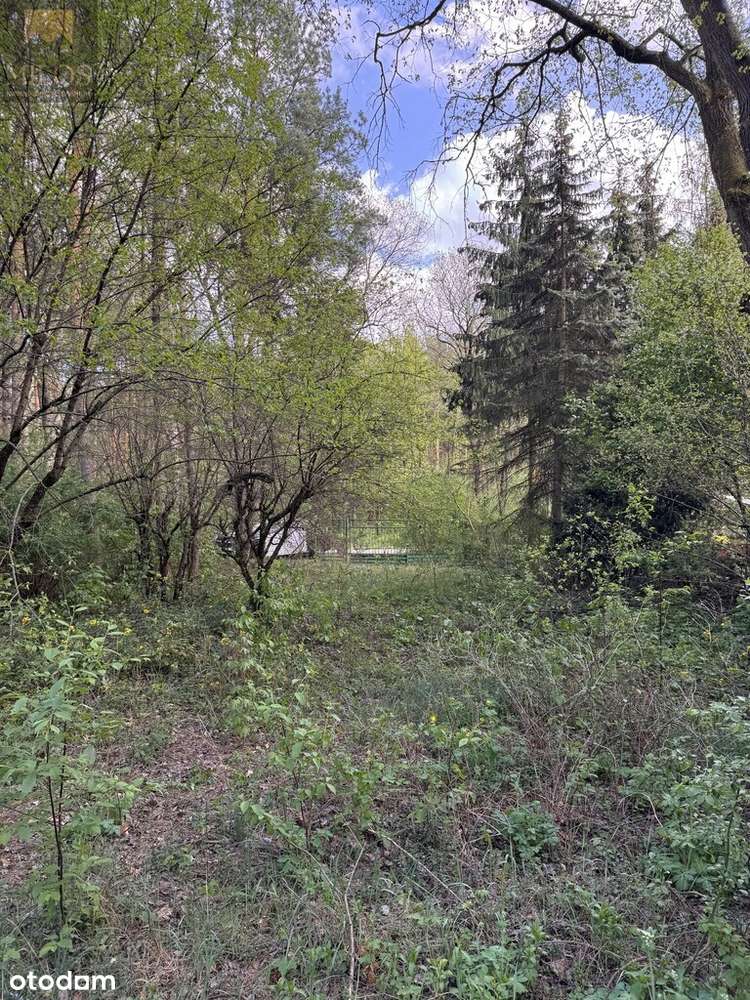 Działka z domkiem – blisko Narwi i jeziora Klucz - Pełny obrazek: 4/5