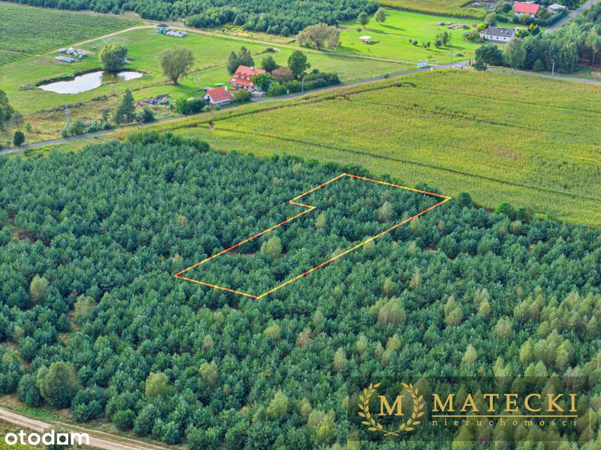 Wyjątkowa, duża działka z drzewami-9