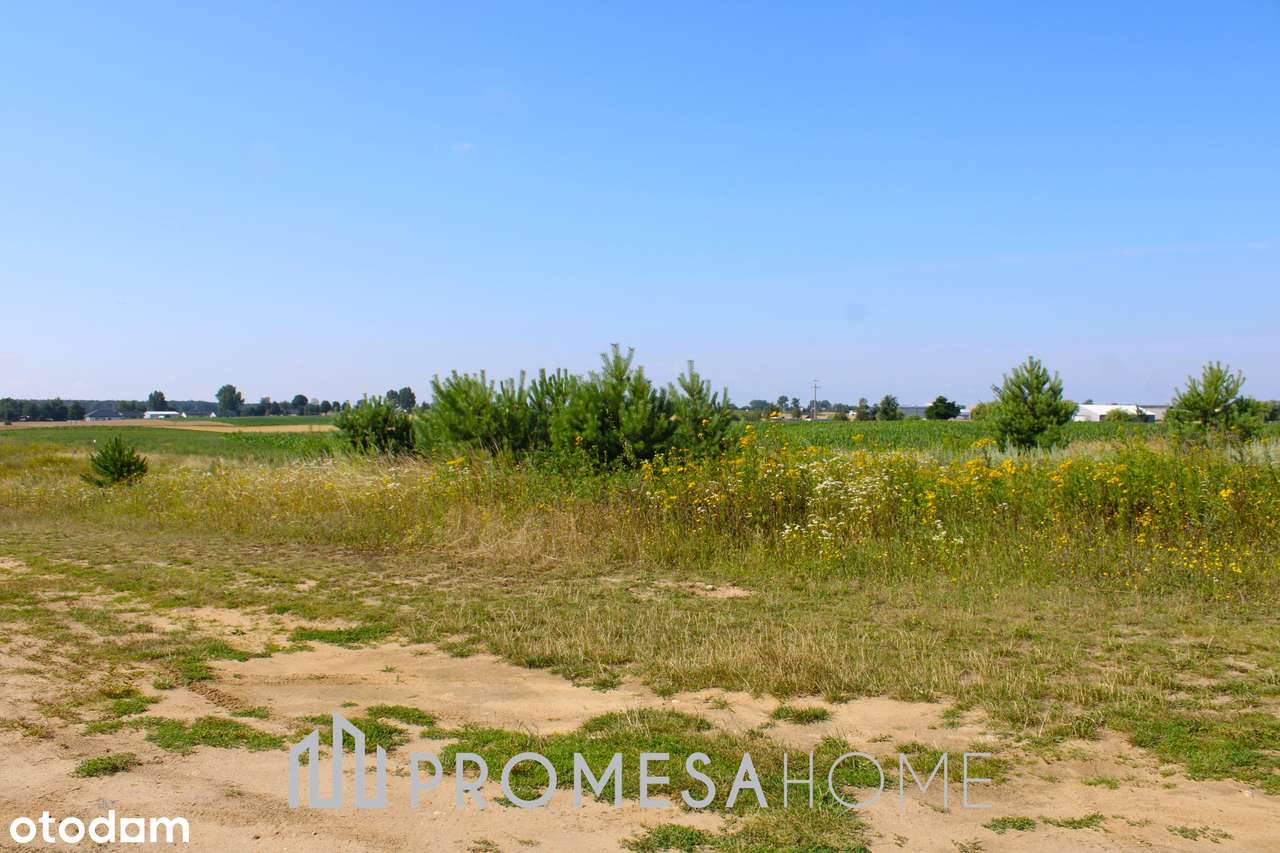 Jankowo Dolne/Gniezno działki budowlane MPZP Media blisko lasu !!! - Pełny obrazek: 4/5