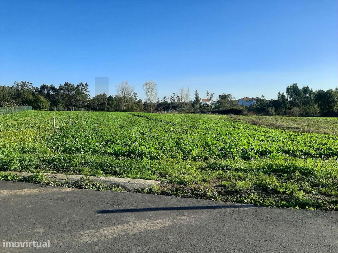 Terreno em Guilhovai (S. João de Ovar). - Grande imagem: 4/12