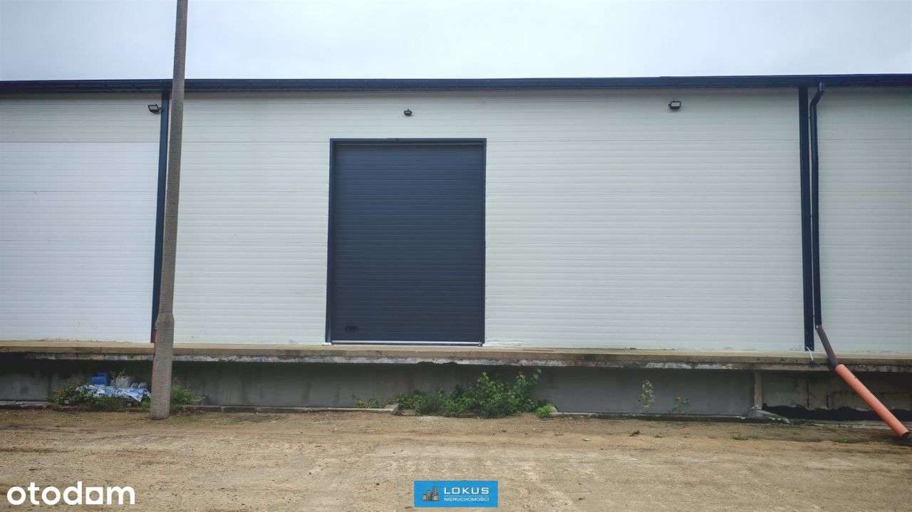 Magazyn 3 bramy rampa i poziom 0 - Pełny obrazek: 5/7