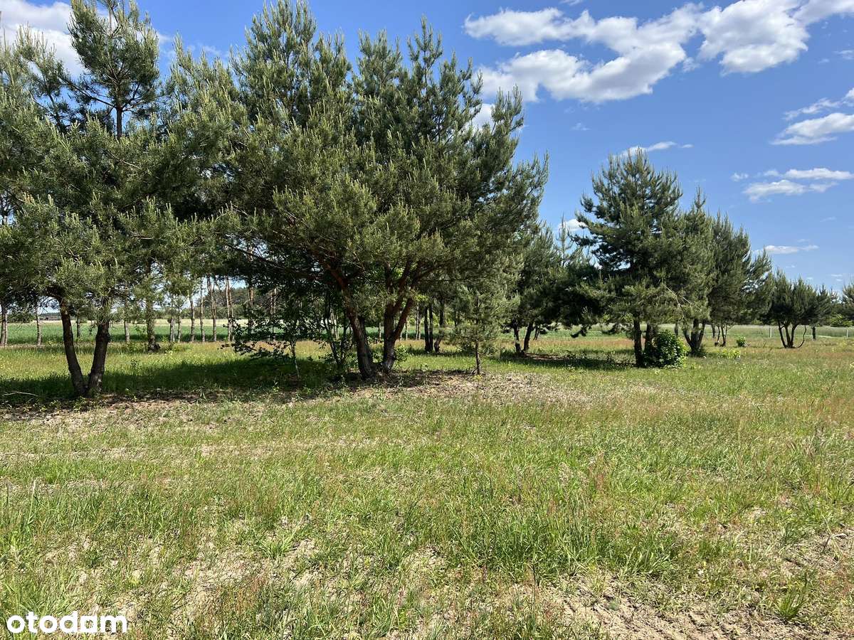 W okolicach Jońca –  Okazja! Pozwolenie + Prąd 900m od Wkry - Pełny obrazek: 4/20