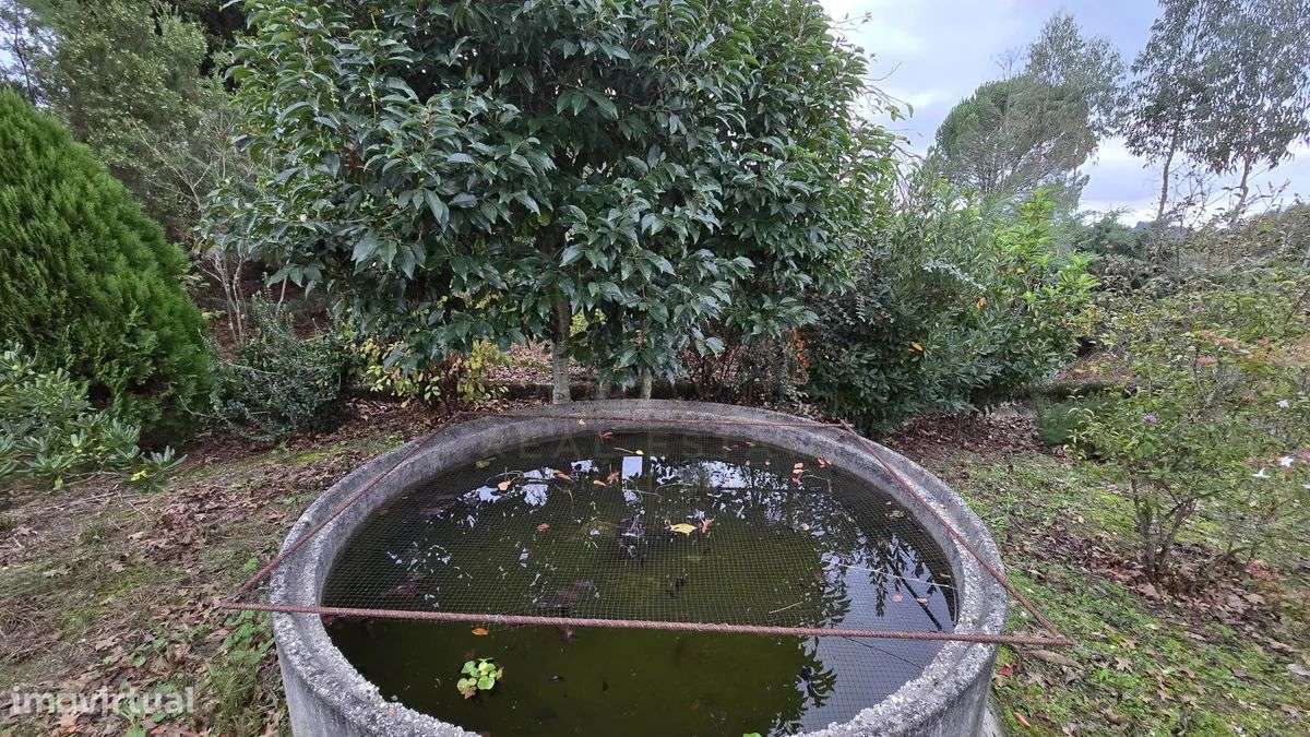 Terreno Rústico - Rio Torto e Lagarinhos - Gouveia-10