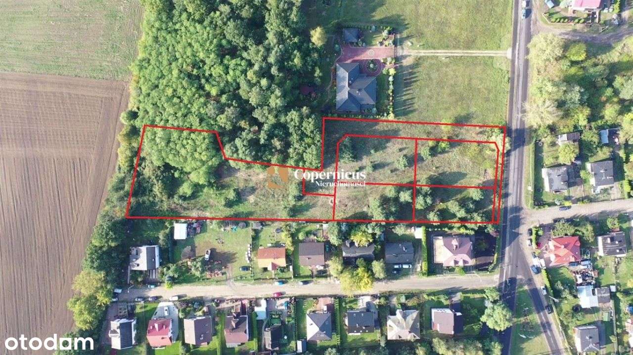 Grabowiec - Super Lokalizacja - Duża działka - Pełny obrazek: 3/8