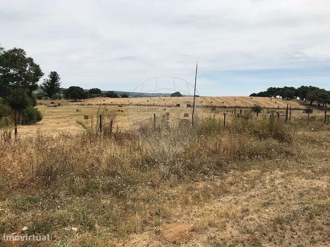 Quinta  para venda - Grande imagem: 5/19