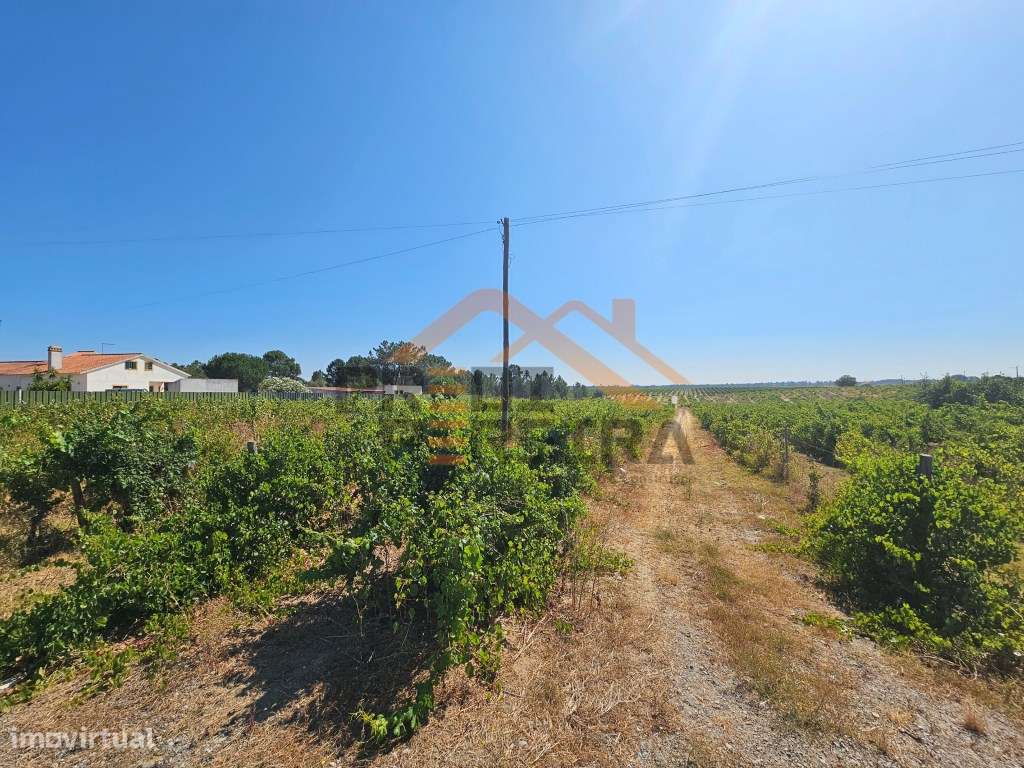 Oportunidade Única no concelho de Palmela, freguesia de Poceirão e ... - Grande imagem: 5/21