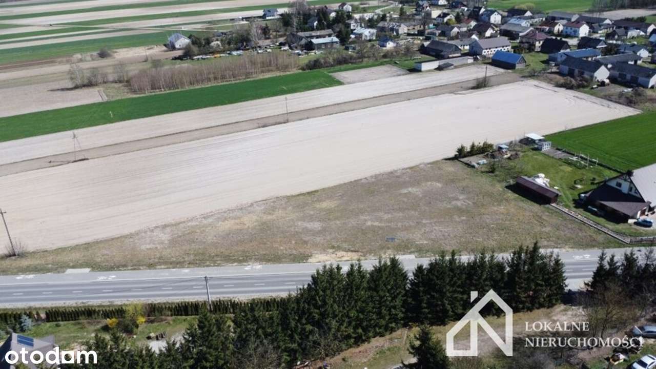 Dwie działki w miejscowości Przywózki na sprzedaż! - Pełny obrazek: 5/9