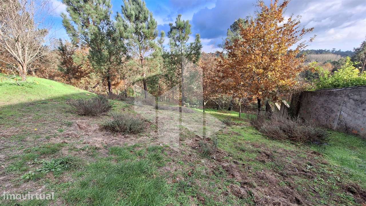 Lote de Terreno  Venda em Santiago de Besteiros,Tondela - Grande imagem: 3/5