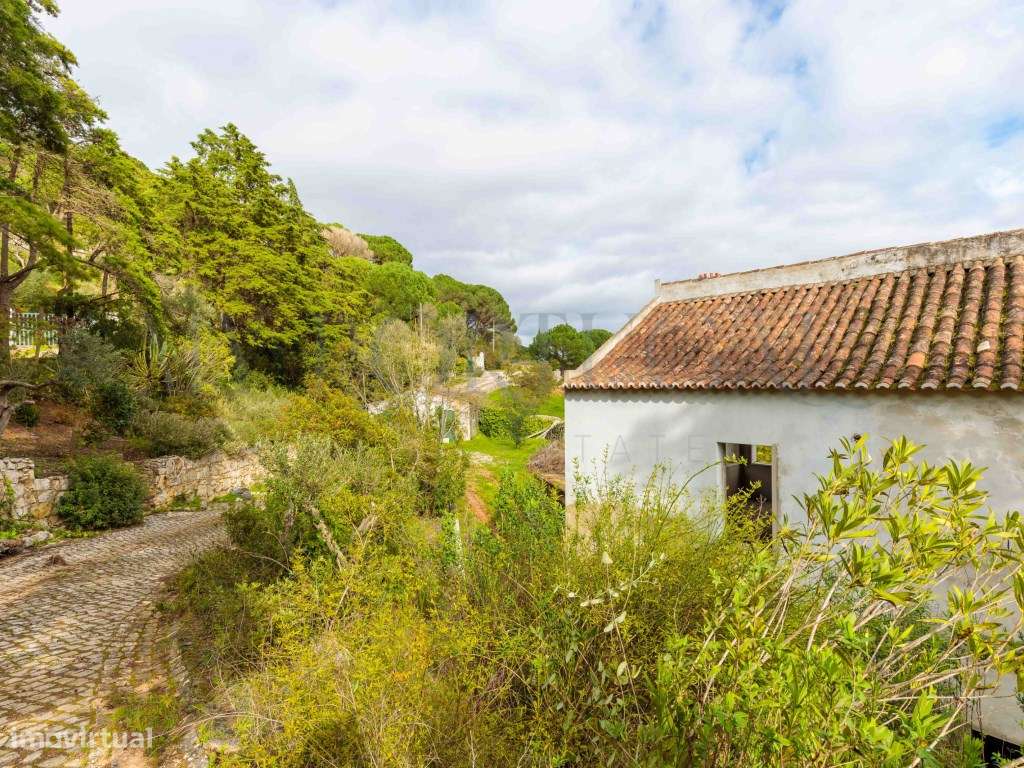 Quinta do Levante: Refúgio de Luxo com Projeto Aprovado no Coração ...-36